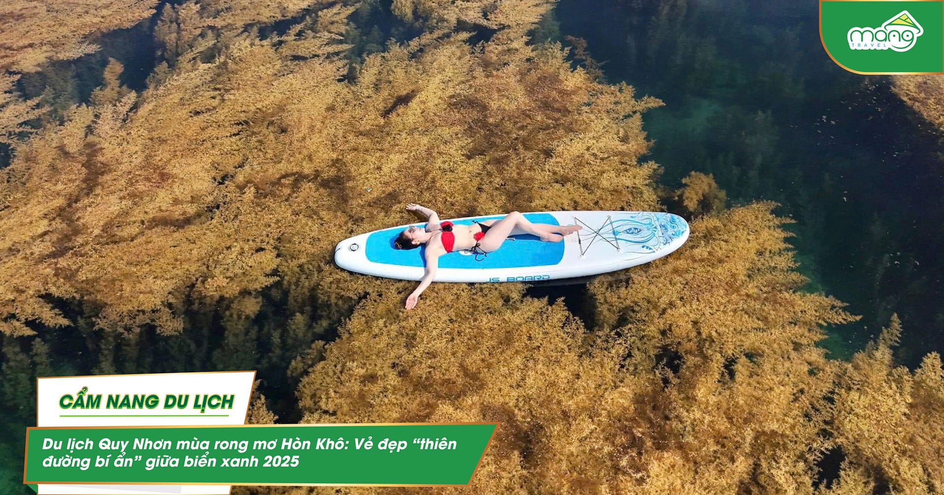 Du lịch Quy Nhơn mùa rong mơ Hòn Khô: Vẻ đẹp “thiên đường bí ẩn” giữa biển xanh