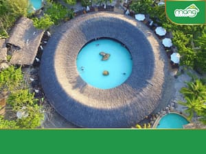 KON TUM - VINWONDERS - TẮM BÙN I RESORT