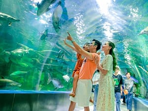 Tour khám phá Nha Trang - Phan Rang - Phan Thiết