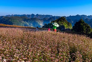 Tour Hà Giang – Vòng cung Đông Bắc cho mùa lễ đặc biệt
