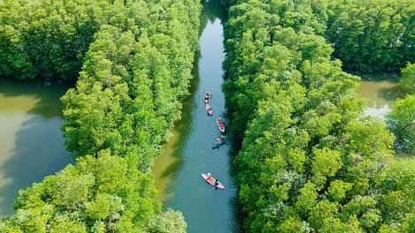 Tour Cồn Chim cùng Măng Travel du lịch lễ ở Quy Nhơn