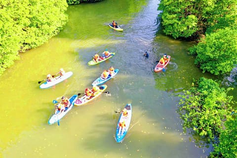 Chèo SUP trên đầm Thị Nại