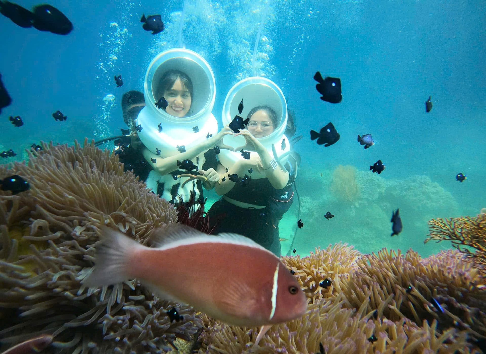 Lặn ngắm san hô cùng Măng Travel