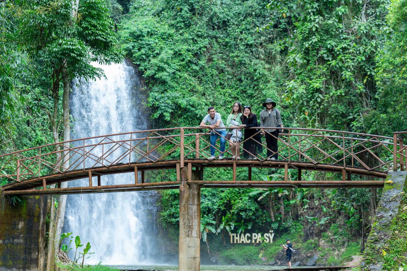 Rừng thông Măng Đen